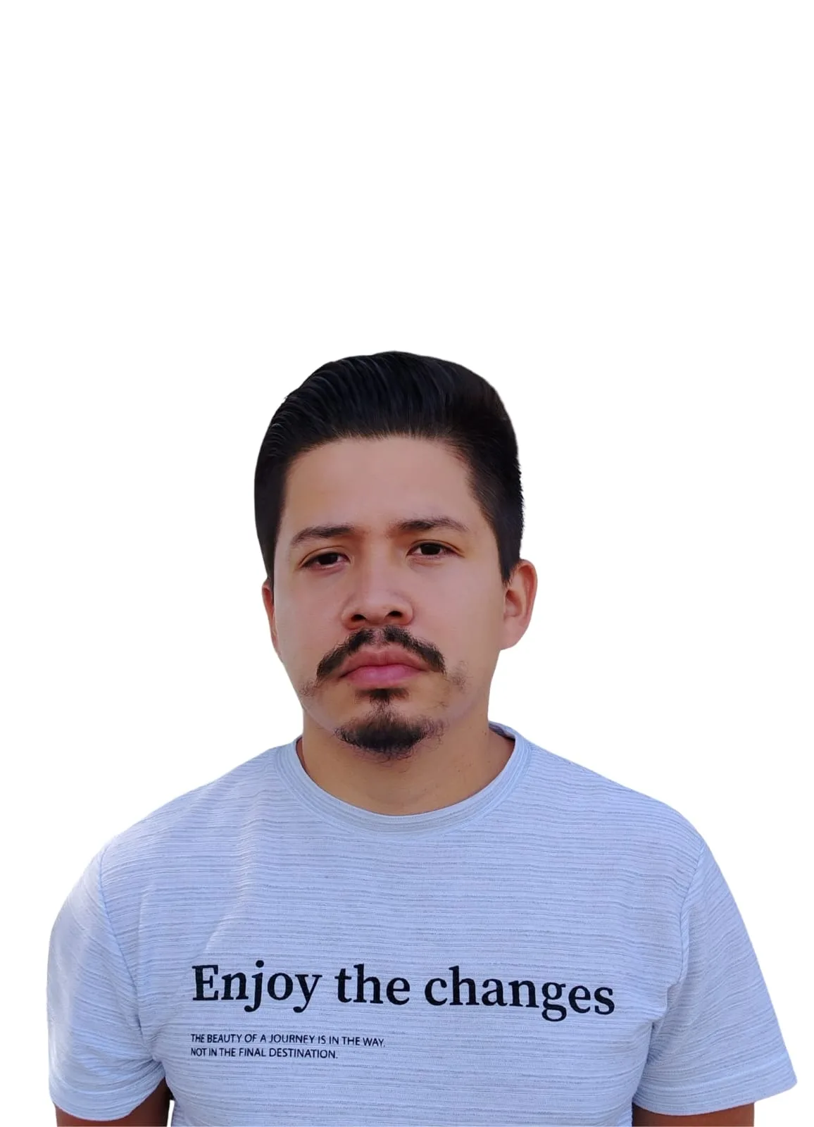 Aldo Felipe Vega Sánchez
