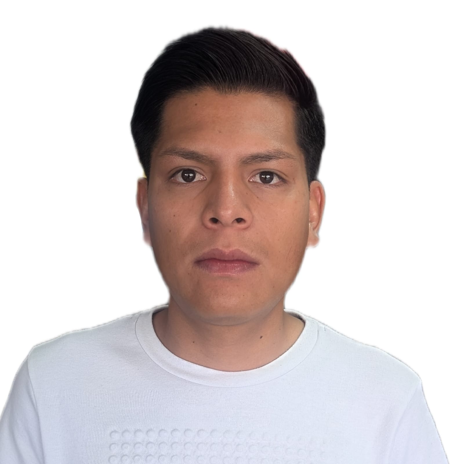 Luis Daniel Gamiño Vazquez