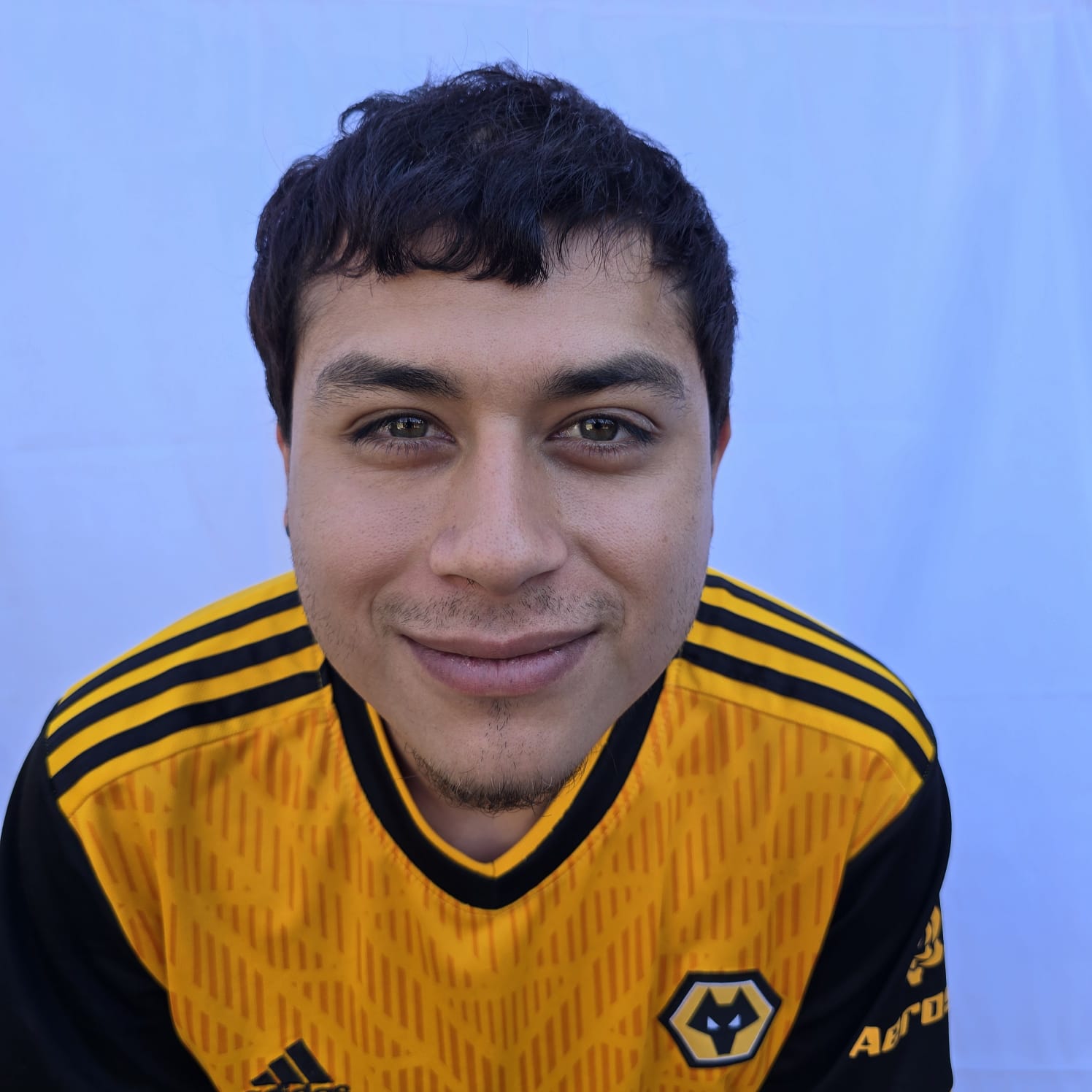 Andres Ismael Tavares Rodriguez