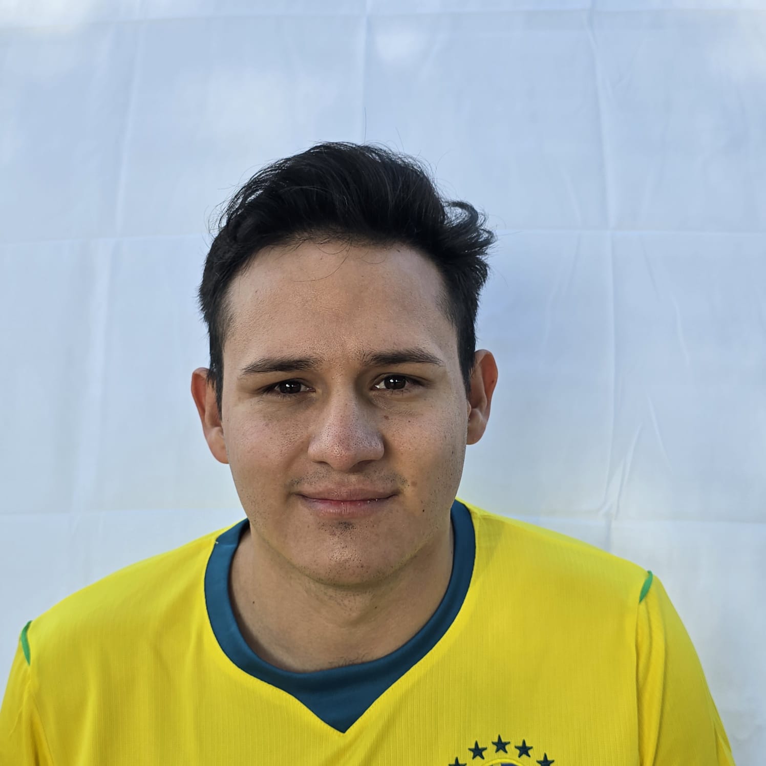 Alvaro Daniel Hernandez Zarate