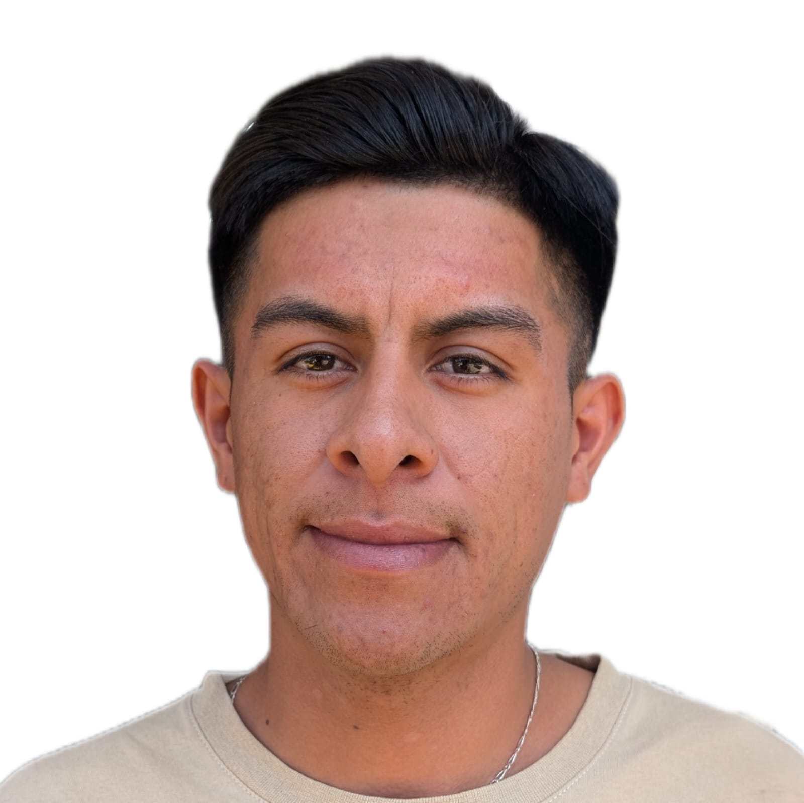 Luis Gerardo Ponce Torres