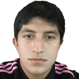 Erik Nicolas Picon Becerra